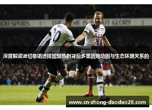 深度解读波切蒂诺选择加盟热刺背后多重战略动因与生态环境关系的 深度解读波切蒂诺选择加盟热刺背后多重战略动因与生态环境关系的