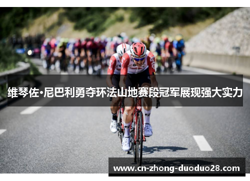 维琴佐·尼巴利勇夺环法山地赛段冠军展现强大实力